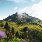 What to expect from vibrant Alpes